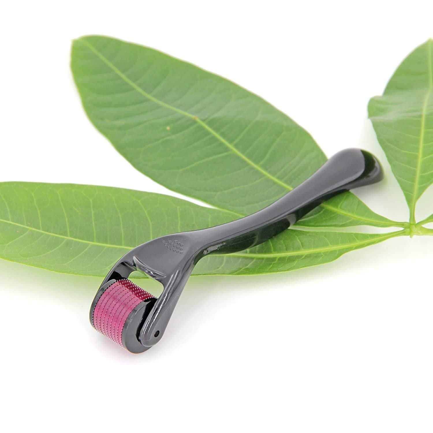 Graceberry Derma Roller 0.5mm with 540 Titanium Needles – Boosts Beard Growth, Hair Regrowth, & Reduces Acne Scars | Safe & Effective Skincare Tool